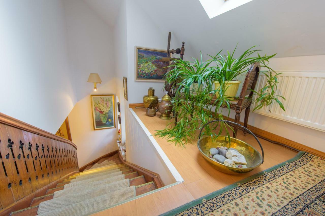 Villa Parkowa 5 ชเวียราโดว์-สโดรยจ์ ภายนอก รูปภาพ